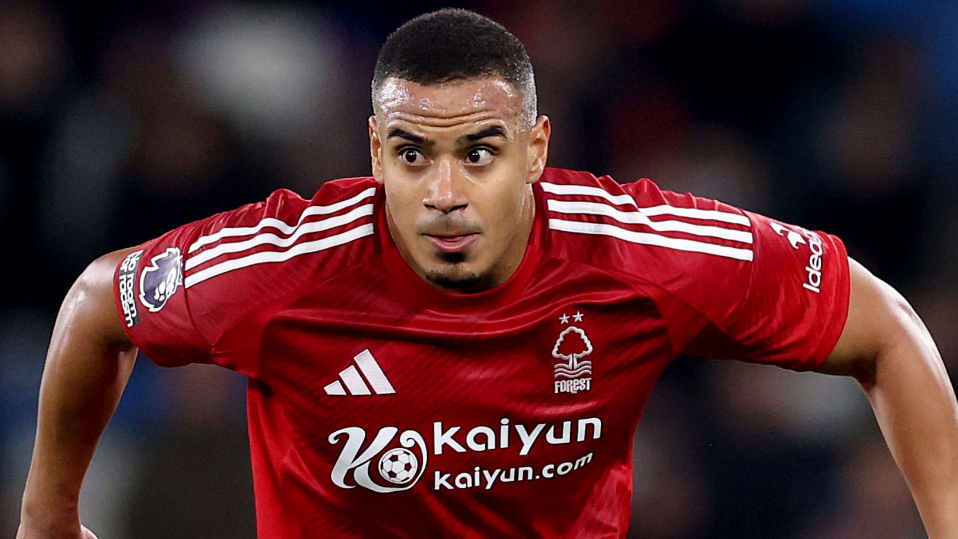 一种追求卓 一种追求卓