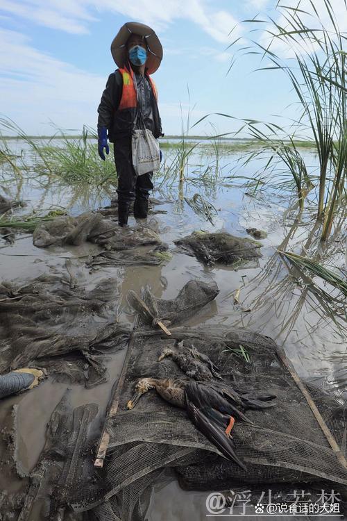 安凤珍:体育人生路,一世情未央 安凤珍:体育人生路,一世情未央